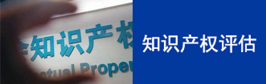 知识产权评估