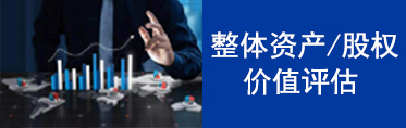 整体资产（股权）评估