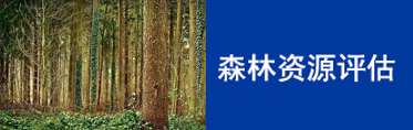 森林资源资产评估