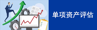 单项资产评估
